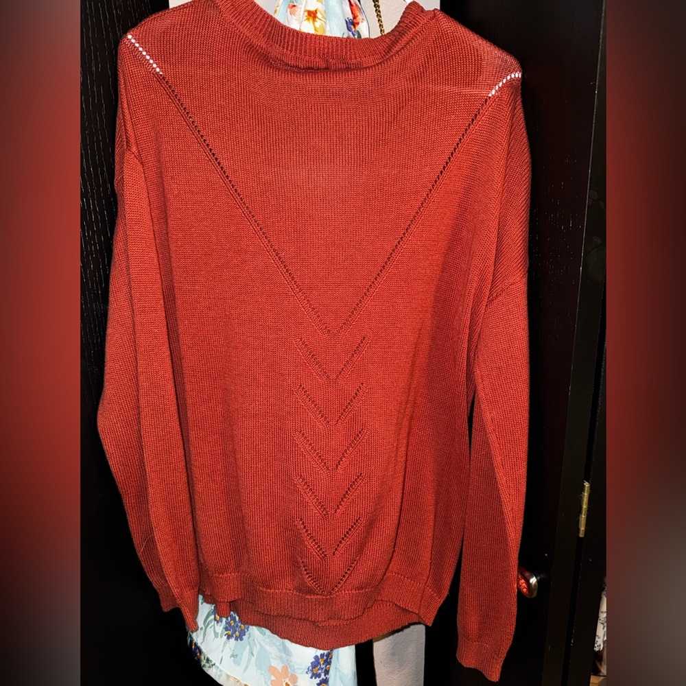 Lulu's Rust Sweater - Picture 3 of 3